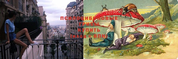 МДПВ Алзамай